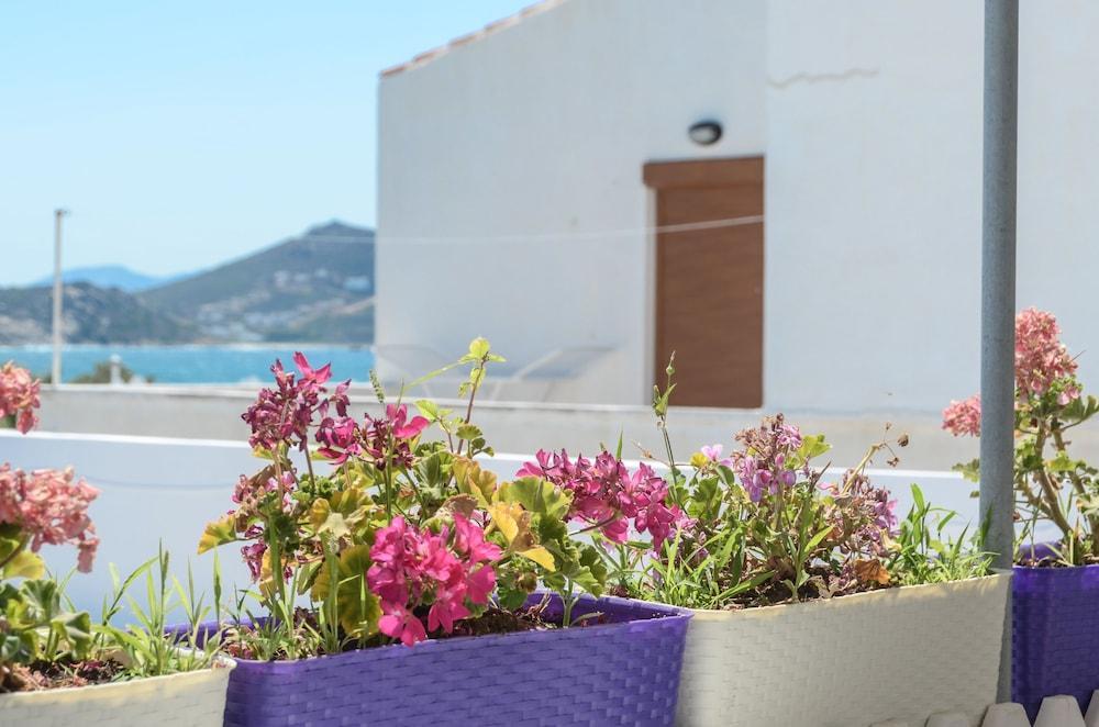 Santa Katerina Apartments & Studios Naxos City Ngoại thất bức ảnh